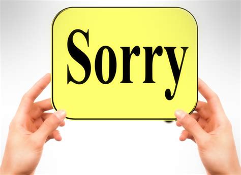 Difference Between Sorry And Apology Meaning Grammar Usage