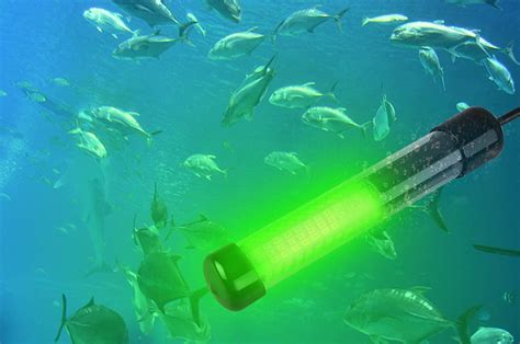 Best Underwater Fishing Lights In 2022
