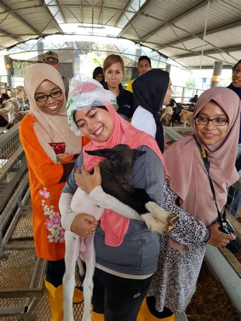 Anda boleh layari tempat menarik di pahang untuk mengetahui pelbagai tarikan dan tempat menarik di negeri tok gajah ini. jalan-jalan ke Pekan Pahang dan lawati 8 tempat menarik di ...