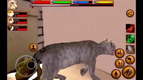 Ultimate Cat Simulator 2 Youtube