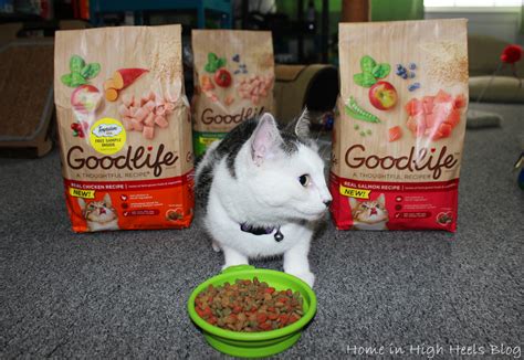 We did not find results for: Get in the GOODLIFE™ Brand Spirit with my Fur Babies ...