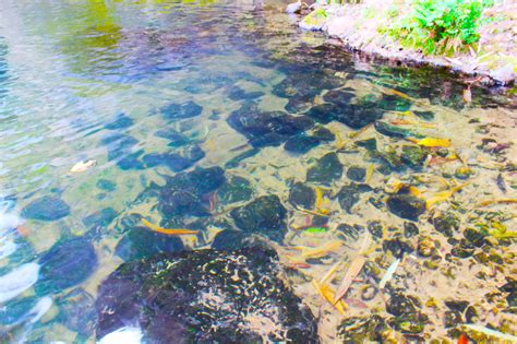 Check spelling or type a new query. Air Terjun Sedinding, Pesona Karanganyar di Kawasan Lereng ...