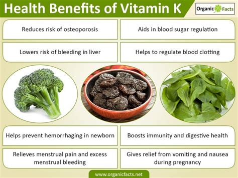13 Incredible Benefits Of Vitamin K Organic Facts