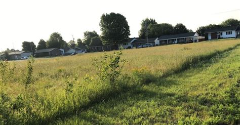Most reel mowers won't cut grass over 2 and just push it over; Mowing urban lawns less intensely increases biodiversity ...