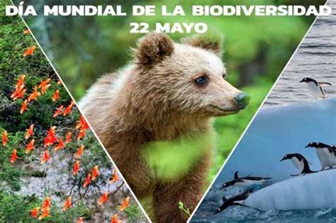 Un DÍa De ReflexiÓn Para El Cuidado De La Flora Y La Fauna Mundial