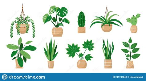 Indoors Decorative House Plants Or Flowers In Pots Stock Vector