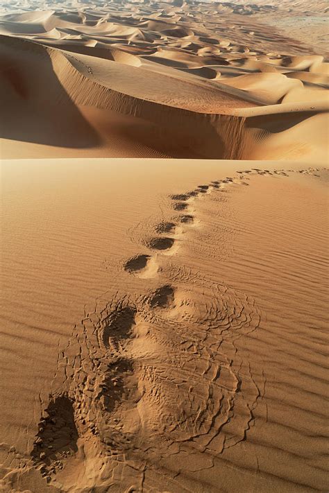 Foot Steps On Sand Dune In The Empty Quarter Desert Between Saudi