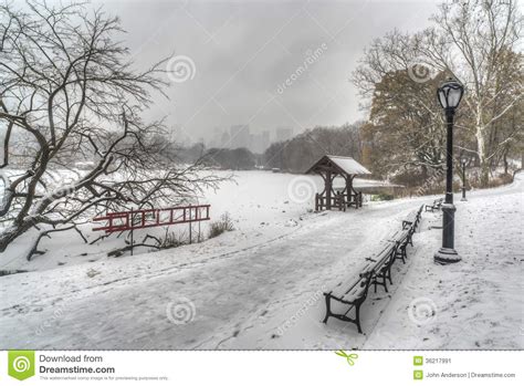 Central Park New York City During Snow Storm Stock Image