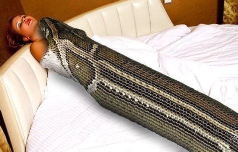 32 Best VORE Ideas Snake Deviantart Snake Girl