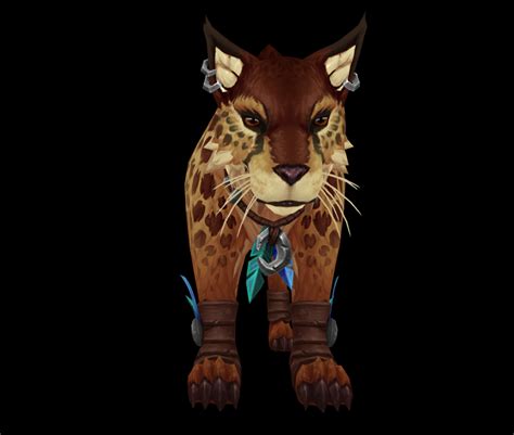 New Cheetah Druid Travel Form Coming In Patch 92 News Icy Veins