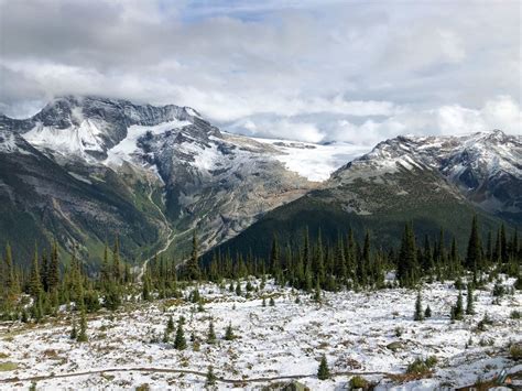 Abbott Ridge Trail Glacier National Park Mb Guiding