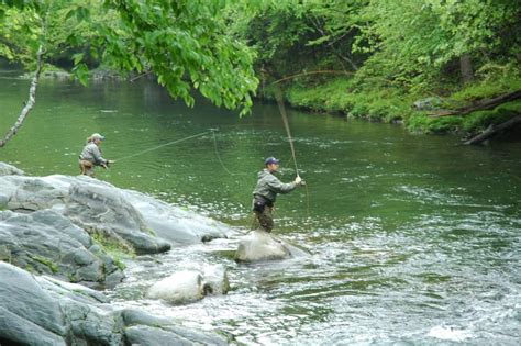 Top 5 Reasons You Should Go Fishing In Cades Cove