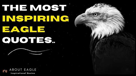 ♦ The Most Inspiring Quotes About Eagle The Best Motivation Be Like An