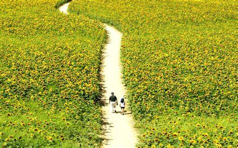 Пешие прогулки похудеть Как похудеть во время прогулки на свежем воздухе Как похудеть во время прогулки на свежем воздухе Пешие прогулки похудеть