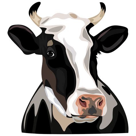 Png Cow Head Transparent Cow Head Png Images Pluspng