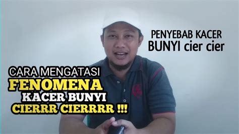Pencemaran bunyi ialah bunyi yang berlebihan yang tidak dikehendaki dan meyebabkan kacau ganggu. Cara Mengatasi Kacer Bunyi Cier - YouTube