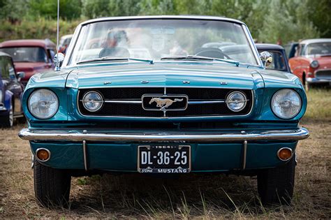 What Are Antique License Plates, and How to Get Them