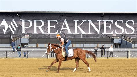 preakness 2023 vineetavansen