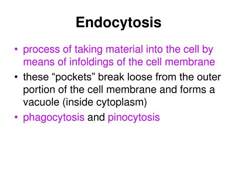 Ppt Cell Transport Powerpoint Presentation Free Download Id3996195