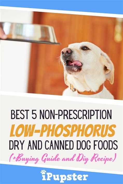 And, for that exact reason, 4health has created an exceptionally wholesome, yummy, and rich recipe designed specifically for meeting all of your precious puppy's nutritional needs. 10 Best Prescription and Non-Prescription Low-Phosphorus Dog Foods of 2020 in 2020 | Dog food ...