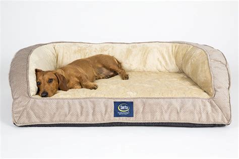 The best dog beds for large and small dogs, including cozy orthopedic beds for older dogs, durable beds for chewers and puppies, cooling, warming, and more. The 30 Best Large Dog Beds For Your Large Breed Dogs
