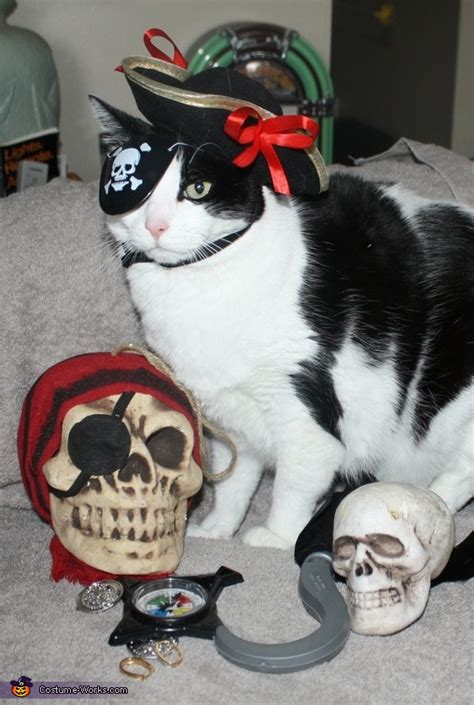 Pirate Cat Halloween Costume Diy Costumes Under 25