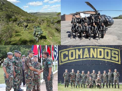 Los comandos básicos de linux más importantes para los aficionados al terminal de comandos del sistema operativo. Militar do Exército Brasileiro foi o 1º colocado no Curso ...