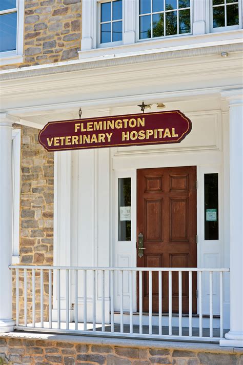 Onderstepoort veterinary academic hospital (the 'ovah') ? Pet Dental Health