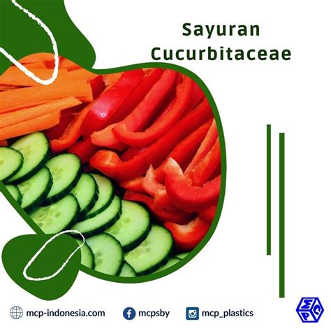 We did not find results for: Berkenalan dengan Jenis Sayuran Cucurbitaceae - PT ...