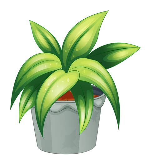 Download Potted Plant Clipart Images Alade