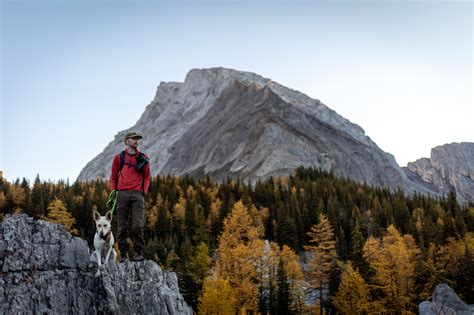 Hiking Trail Review Chester Lake And The Elephant Rocks Peter