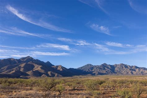 A Birding Adventure In Arizonas ‘sky Islands Explore Cochise