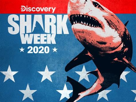 Discovery Releases Full Shark Week Schedule For Dnews Discovery