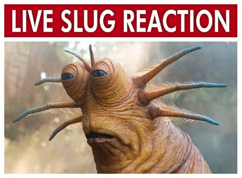 Live Slug Reaction Meme Template