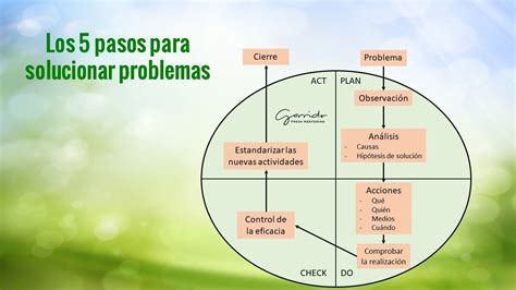 Los 5 Pasos Definitivos Para Solucionar Problemas Garrido Fresh Mentoring