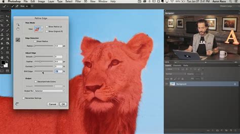 How To Use The Refine Edge Tool In Photoshop Photography Blog Tips
