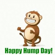 Hump Day Monkey GIF HumpDay Monkey Dance Discover Share GIFs