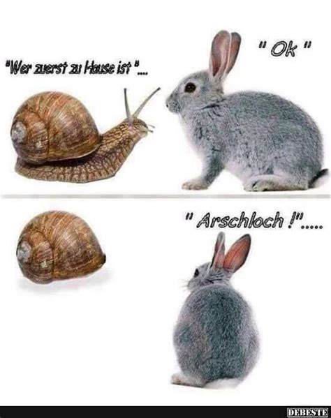 Wähle einfach das gewünschte bild aus der kategorie willkommen zu hause bilder und klicke auf einen der darunter angezeigten codes. Wer zuerst zu Hause ist.. | Lustige Bilder, Sprüche, Witze ...