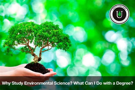 Why Study Environmental Science Unity Environmental University