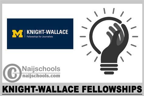 Knight Wallace Fellowships 2024 Naijschools