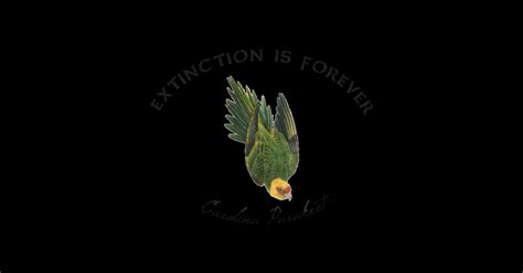 Extinction Is Forever Carolina Parakeet Extinct T Shirt Teepublic