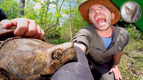 Brave Wilderness Crazy Alligator Snapping Turtle Bite Youtube
