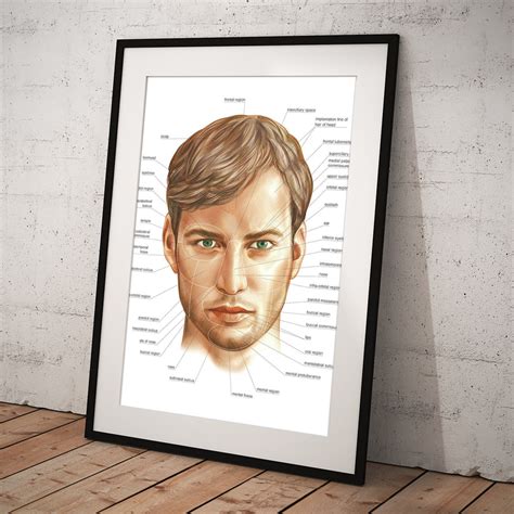 Male Head Art Print By Asklepios Medical Atlas Pixels