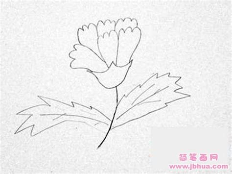 增加多功能箱 可以画固定图形、写入文本、指向箭头、优化画屏 1.升级为自己设计快捷键，更加方面于大众 黑板程序随时准备，让你更方便使用 2.黑板\画屏. 手绘康乃馨简笔画图片大全_简笔画网