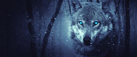 2560x1080 Fantasy Wolf 5k Wallpaper2560x1080 Resolution Hd 4k