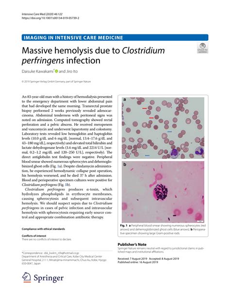 Pdf Massive Hemolysis Due To Clostridium Perfringens Infection