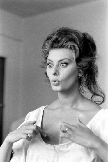 Sophia Loren 1961 Sophia Loren Sofia Loren Sophia