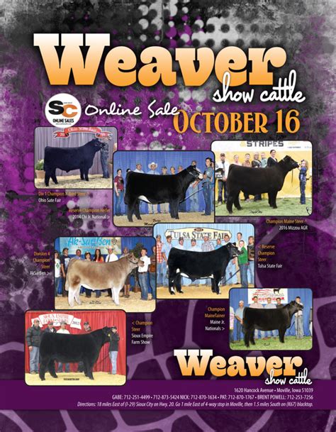 Weaver Show Cattle