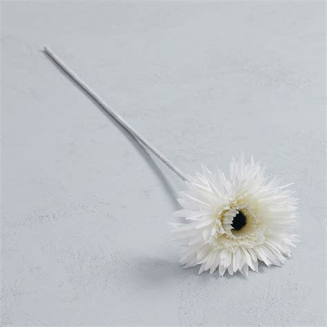 We did not find results for: Artificial Spider Gerbera Flower Stem | Dunelm