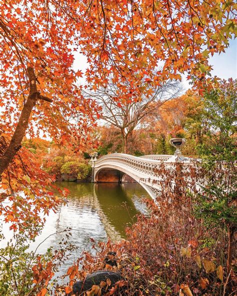 The Secrets Of Central Park Walking Tour Behind The Scenes Nyc Btsnyc